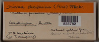 Image Associated With the Occurence